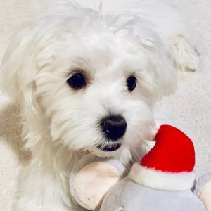 Meet your Posher, Sly